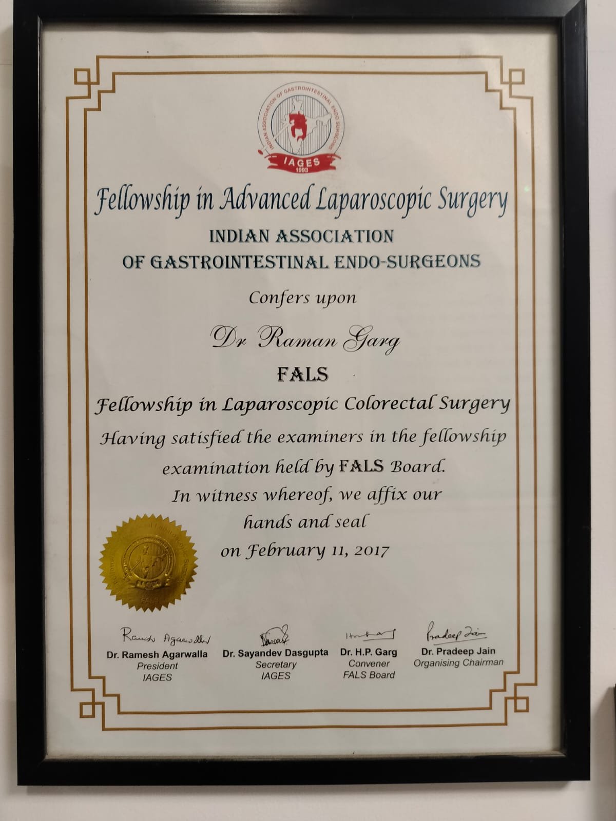 FALS Fellowship - Laparoscopic Colorectal 2017